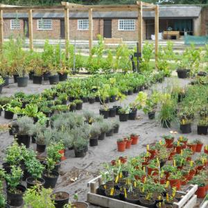Biocovers weed and erosion control mats  made from organic material, compostable, low carbon foot print