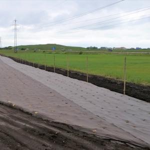 Biocovers weed and erosion control mats,  made from organic material, fully compostable, low carbon foot print