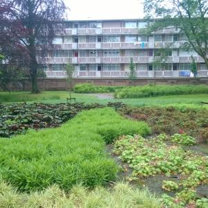 Biologische onkruidmatten voor gemeentelijk project