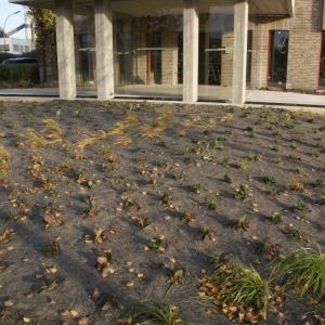dauerhafte PLA Mulchmatte für Garten und Landschaftsbau 