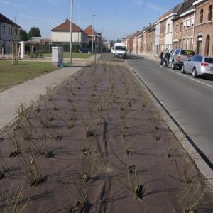Dauerhafte PLA Mulchmatte für Garten und Landschaftsbau