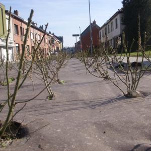 Dauerhafte PLA Mulchmatte für Garten und Landschaftsbau
