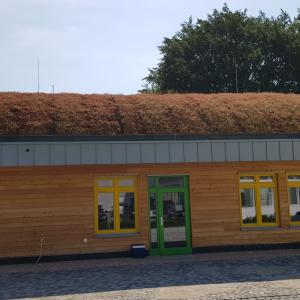 Ecogrow - vorkultivierte Vegetationsmatten für dem Schrägdach