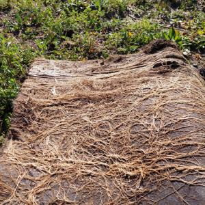 Feutre biodégradable sans plastique retenant l'humidité pour une zone de fleurs sauvages instantanée
