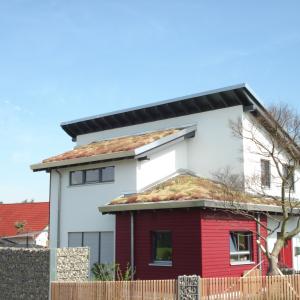 Greenroof - biobased support mat for sedum of flower blanket
