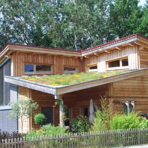 Greenroof - biobased support mat for sedum of flower blanket