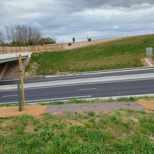 Landscaping project with biobased Biocovers mat