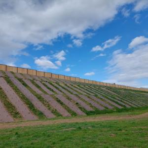 Landscaping project with biobased weedcontrol mat Biocovers Bioweedstop