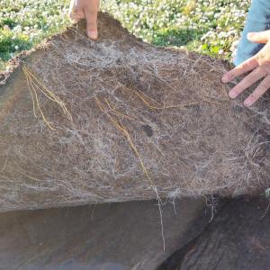 Moisture retentive plastic free biodegradable felt for instant wildflower area