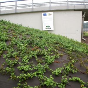 Mulchmatte für Unkraut- und Erosionskontrole