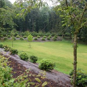 Ökologsiche Mulchmatte für Parken und botanischen Garten
