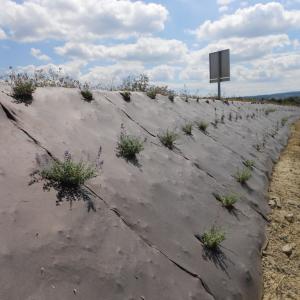 Paillage Biocovers contre les mauvaises herbes et l’érosion