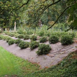 PLA Mulchmatte für Landschaftsbau und Parken