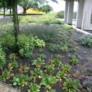 PLA Unkrautmatte für Gartenbau