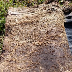 Plastic free supports for sustainable urban greening