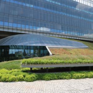 Sedum greenroof - biobased support mat for sedum of flower blanket