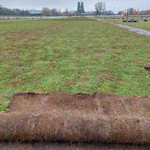 Sedum mats - ideal for lightweight green roofs