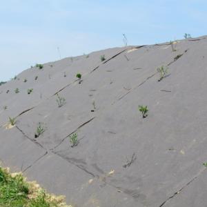 Toiles anti-érosion Biocovers protègent le sol contre l'érosion