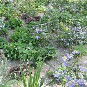 Unkrautmatte für ökologsichen Gartenbau