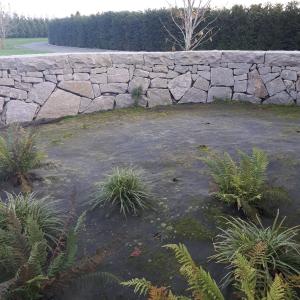 Bioweedstop after 3 years
