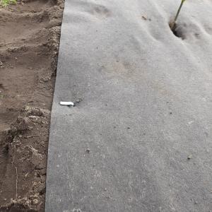 Bioweedstop pour pépiniéres