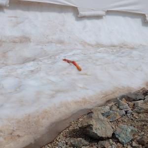 Glacier protection felt