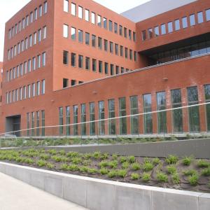 biologische onkruid en erosiebescherming