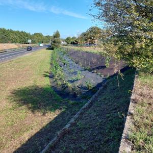 paillage biocovers 